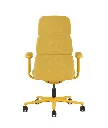 Asari-Luce-Clarion-Marigold-High-03_51249176-acd2-4c61-851c-b108b46d7485.webp
